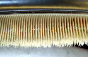 Photo displaying dozens of baleen plates. The plates face each other, and are evenly spaced at approximately 0.25 inches (1 cm) intervals. The plates are attached to the jaw at the top, and have hairs at the bottom end.