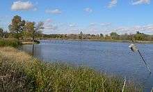 Lake with dead trees in upper end; nest box on pole in foreground