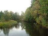 Gulf formed by Daugava River.