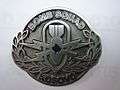 EOD badge.jpg