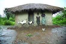 Flooding in Malawi.