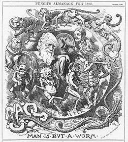 Darwin's figure is shown seated, dressed in a toga, in a circular frame labelled "TIME'S METER" around which a succession of figures spiral, starting with an earthworm emerging from the broken letters "CHAOS" then worms with head and limbs, followed by monkeys, apes, primitive men, a loin cloth clad hunter with a club, and a gentleman who tips his top hat to Darwin.