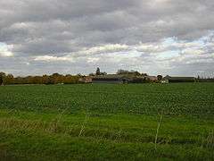 A green picture. Grassy field margins in the immediate foreground, and behind a vigorously-leafed field of beet, a slightly darker green. On the horizon is a cluster of modern barns, and a modern farmhouse with an older building on the left. Above them all is a sky mostly dark with cumulus clouds, with the palest patch of blue above our heads.