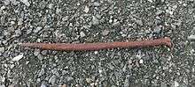 Potential Russian ship spike found in ground near Lisianski inlet Lodge