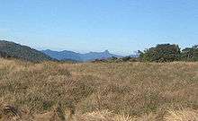 grassland with a prominent mountain peak in the far distance