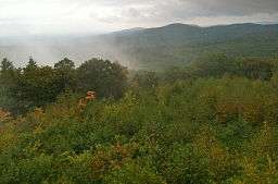 View from Soapstone Mountain summit lookout tower in Shenipsit State Forest