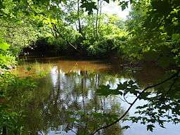 Photograph of a shallow stream. The stream appears to be about 10 metres (33&nbsp;ft) wide. Both banks are heavily wooded. The stream curves noticeably.
