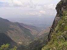 view down a steep wooded valley