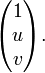 \begin{pmatrix}
1 \\
u \\
v \end{pmatrix}.