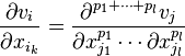 \frac{\partial v_i}{\partial x_{i_k}}=\frac{\partial^{p_1+\cdots+p_l}v_j}
{\partial x_{j_1}^{p_1}\cdots \partial x_{j_l}^{p_l}}