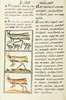 The Florentine Codex- Locusts.tif